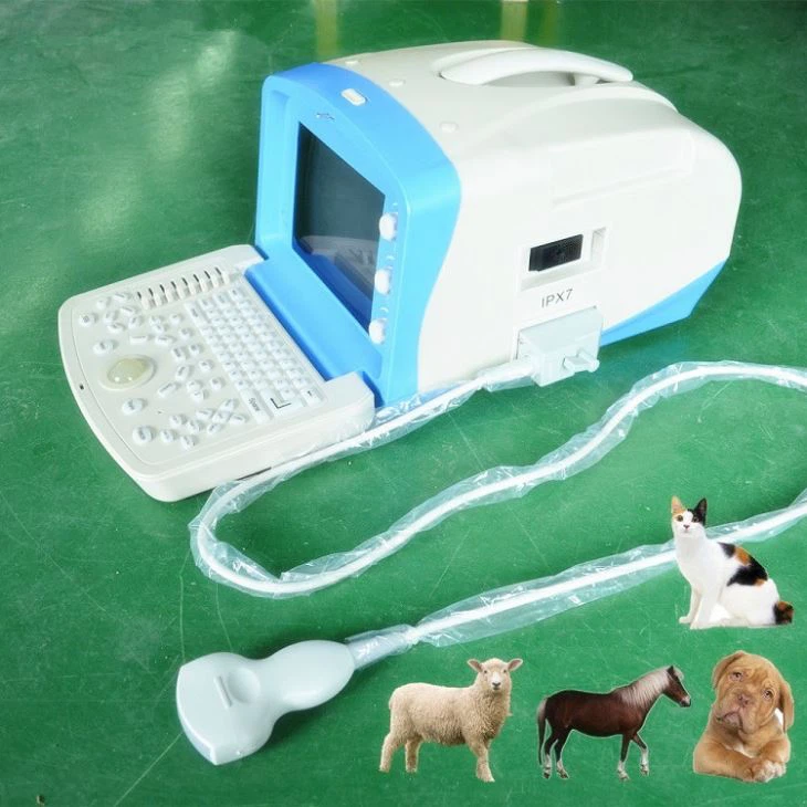 B/W Portable Ultrasound System Scanner