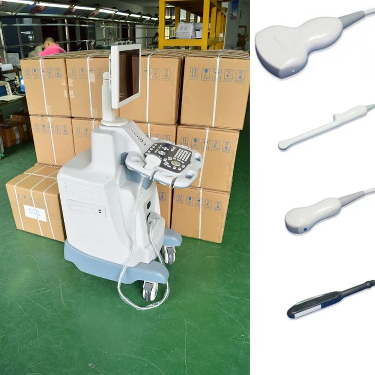 2D B/W Trolley Ultrasound Diagnosis System