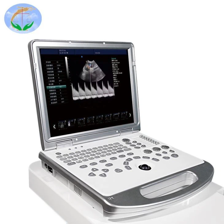 High Quality 4D Ultrasound Transducer