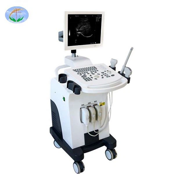 Nespalvotas Usg viso skaitmeninio nešiojamojo kompiuterio ultragarsinis skaitytuvas