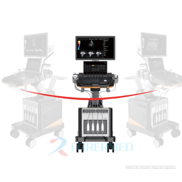 Cardiac Echo Sonographer